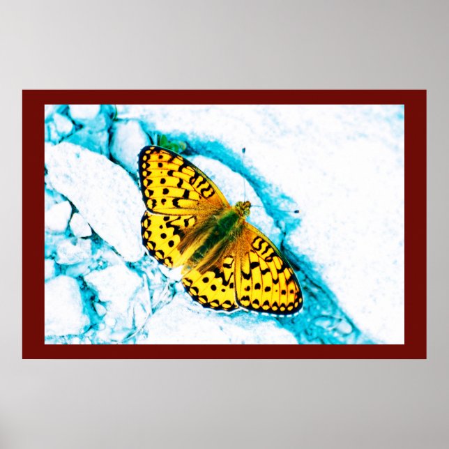 papillon 2 poster (Framsidan)