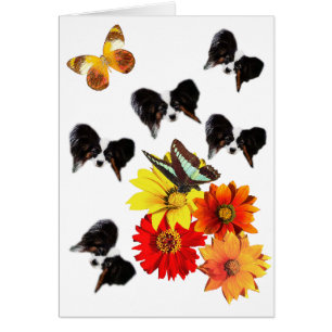 Papillon Älskare Gifts Hälsningskort