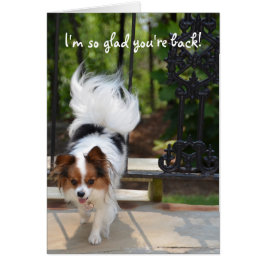 Papillon är jag den så glada förmiddagen dig hälsningskort