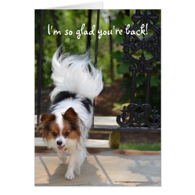 Papillon är jag den så glada förmiddagen dig hälsningskort (Framsidan)