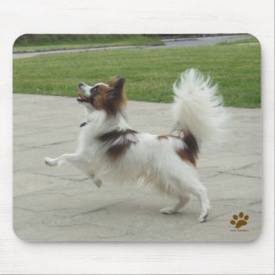 Papillon banhoppning musmatta