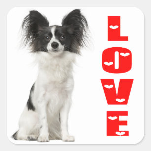 Papillon Black and White Puppy Hund - valpar av K Fyrkantigt Klistermärke