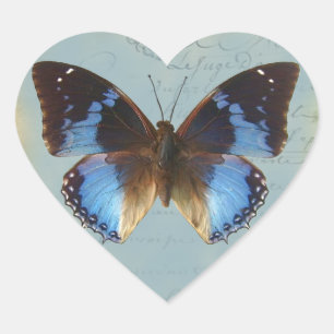 Papillon bleu hjärtformat klistermärke