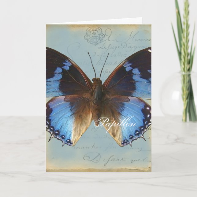 Papillon bleu kort (Framsida)