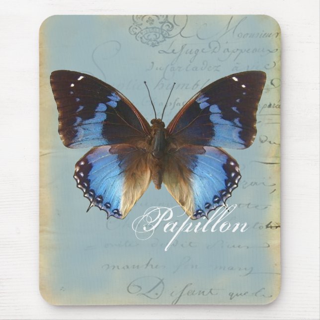 Papillon bleu musmatta (Framsidan)