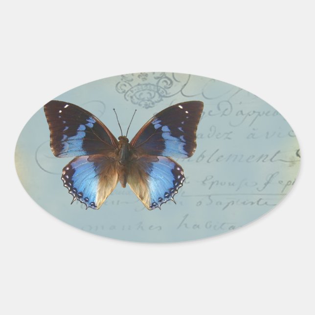 Papillon bleu ovalt klistermärke (Framsida)