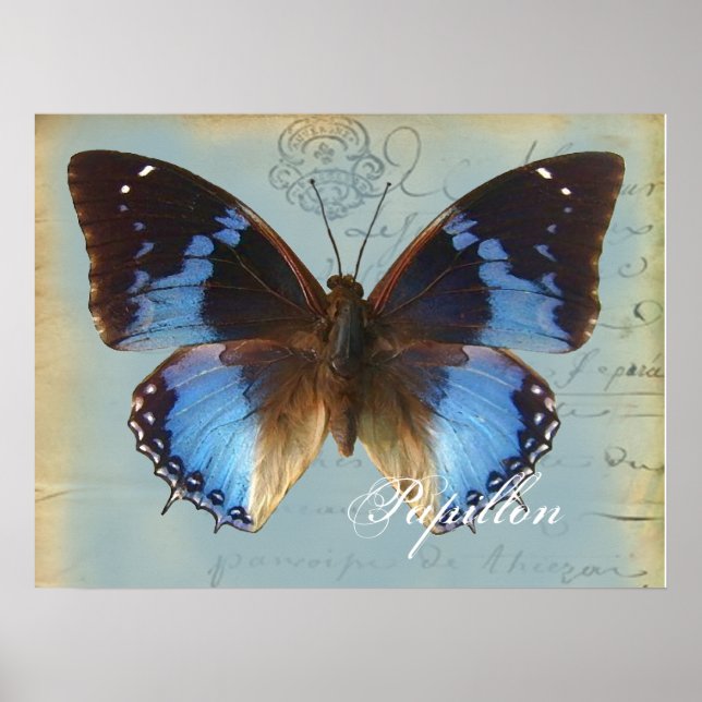Papillon bleu poster (Framsidan)