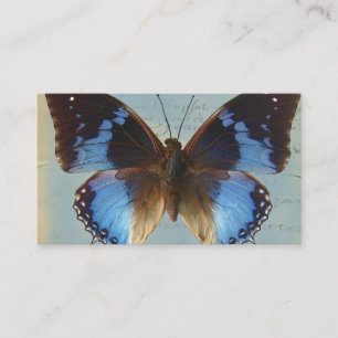 Papillon bleu visitkort