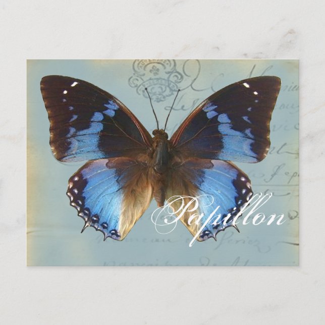 Papillon bleu vykort (Framsida)