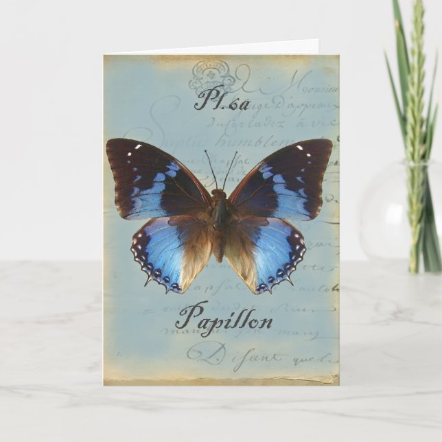 Papillon bleugrattis på födelsedagen kort (Framsida)