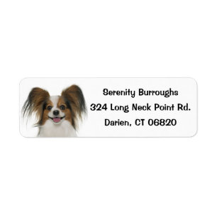 Papillon Brown & White Puppy Hund Returadress Etikett