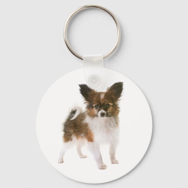 Papillon Brun och Vit Valp Hund Nyckelring (Framsida)