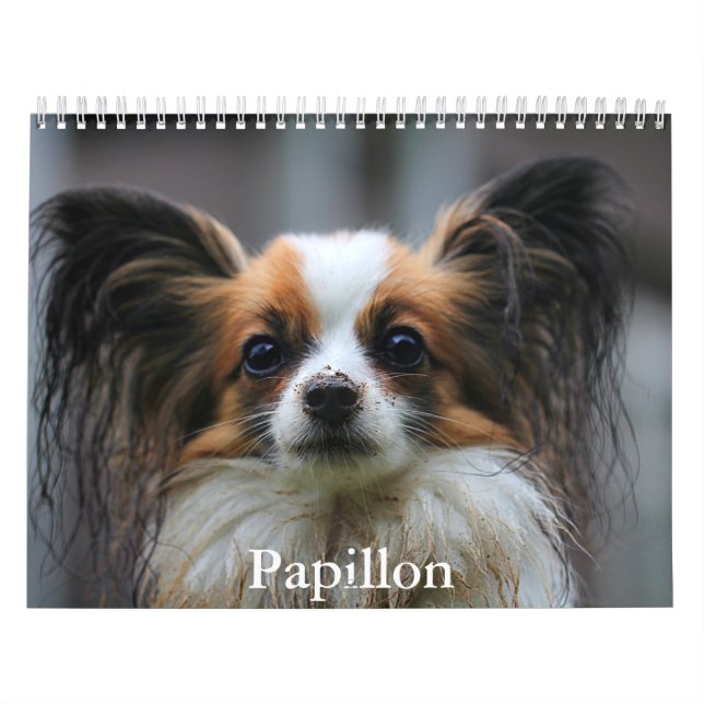 Papillon Calendar Kalender (Omslag)