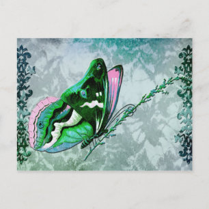 PAPILLON COLORÉ I TEAL BLUE, GRÖNT och ROSA Vykort