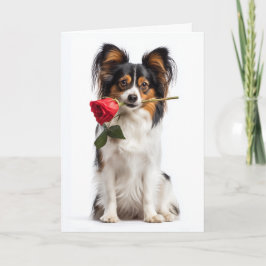 Papillon Dog Valentine Kort