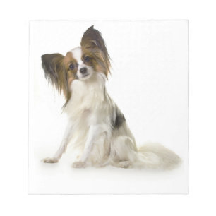papillon fullt anteckningsblock