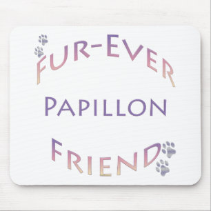 Papillon Furever Musmatta