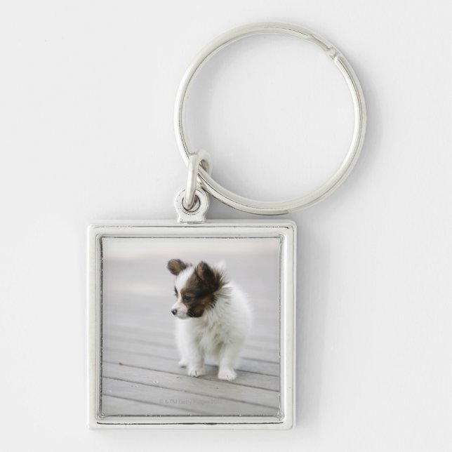 Papillon Fyrkantig Silverfärgad Nyckelring (Framsidan)