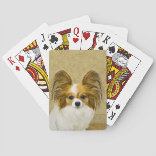 Papillon (Hound Tri)-målning - Originalbild av Hun Spelkort