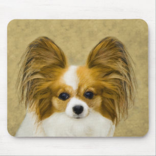 Papillon (Hound Tri)-målning - Originalkonst av Hu Musmatta