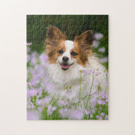 Papillon Hund Cute Romantic Porträtt Pussel