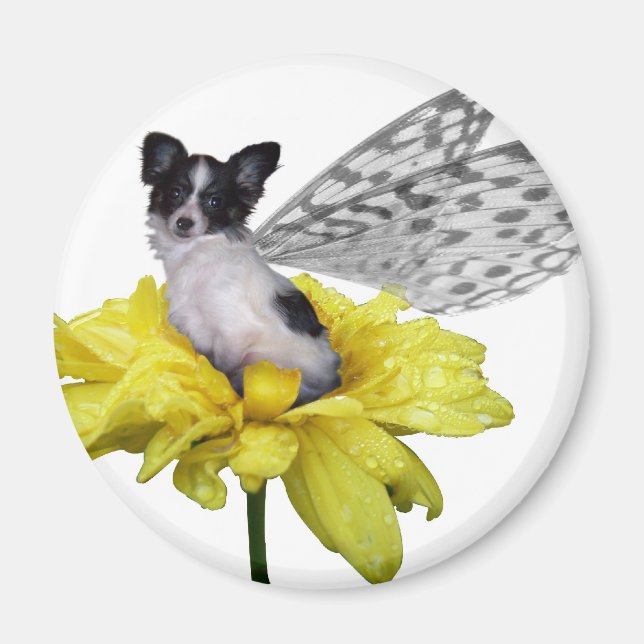 Papillon Hund Fairy Magnet (Framsidan)