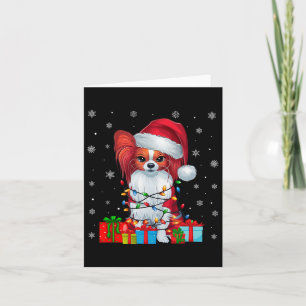 Papillon Hund Fula Julbelysning Tomte Papillon Hun Kort