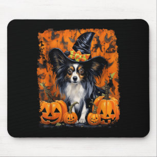 Papillon Hund Halloween Musmatta