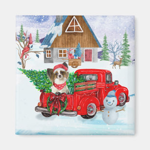 Papillon Hund i samband med julleveransen Lastbil Magnet