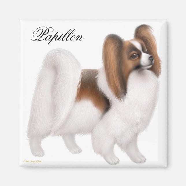 Papillon Hund Magnet (Framsidan)