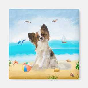 Papillon Hund på Beach Magnet