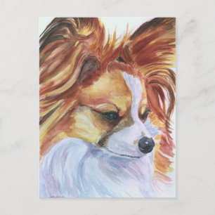 Papillon Hund Postkort Vykort