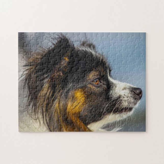Papillon Hund Pussel (Horisontell)