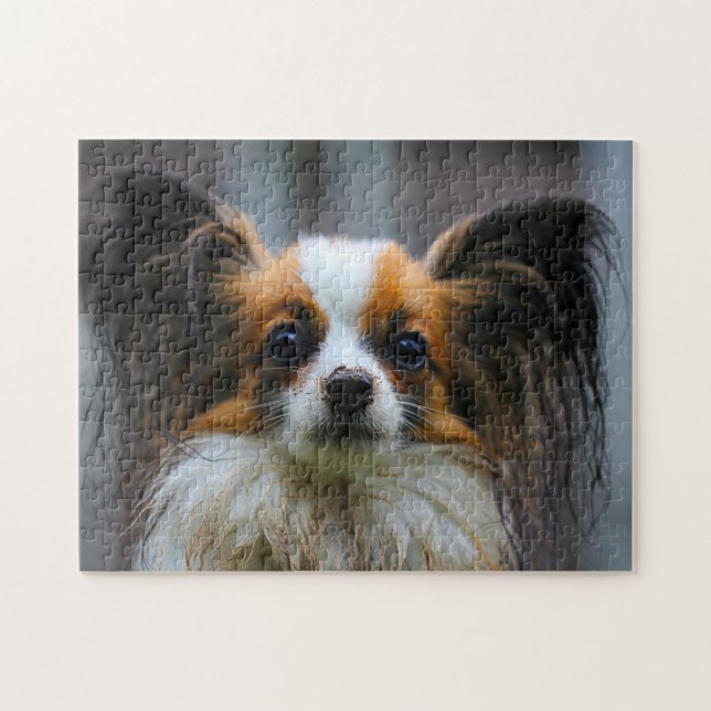 Papillon Hund. Pussel (Horisontell)
