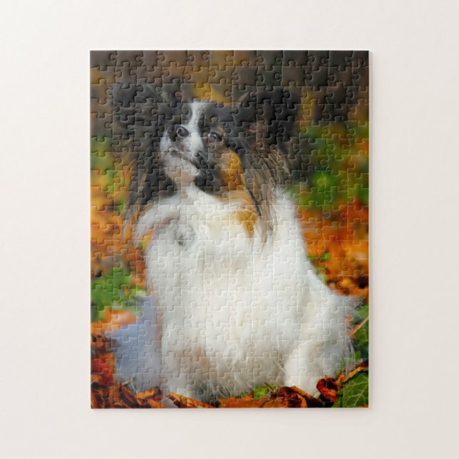 Papillon Hund. Pussel (Vertikal)