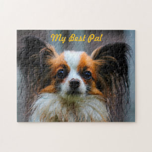 Papillon Hund. Pussel