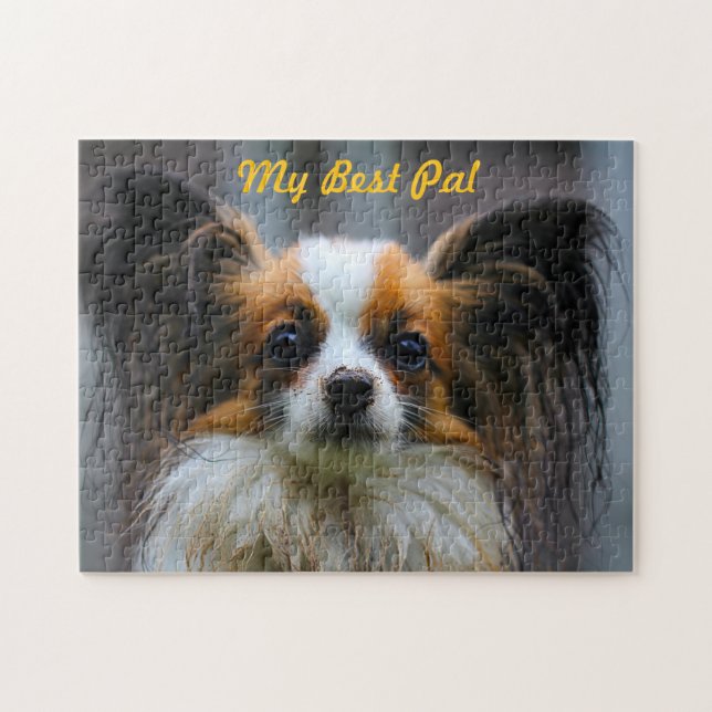 Papillon Hund. Pussel (Horisontell)