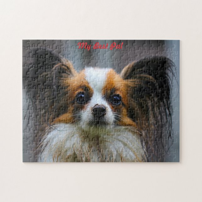 Papillon Hund. Pussel (Horisontell)