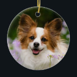 Papillon Hund Romantic Cute Porträtt Julgransprydnad Keramik<br><div class="desc">En vit och röd papillon hund i sitta i en skugga omgiven av Cuckooflower. Papillon är en varningsklocka,  vänlig och mycket smart leksak. Den här lilla vackra dogmen fotograferades av Katho Menden. Den här keramiska runt julprydnaden är en fantastisk speciell presentidé för dykare.</div>