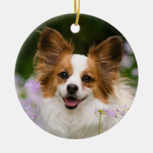 Papillon Hund Romantic Cute Porträtt Julgransprydnad Keramik