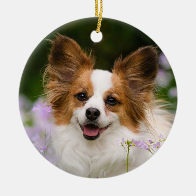 Papillon Hund Romantic Cute Porträtt Julgransprydnad Keramik (Framsidan)