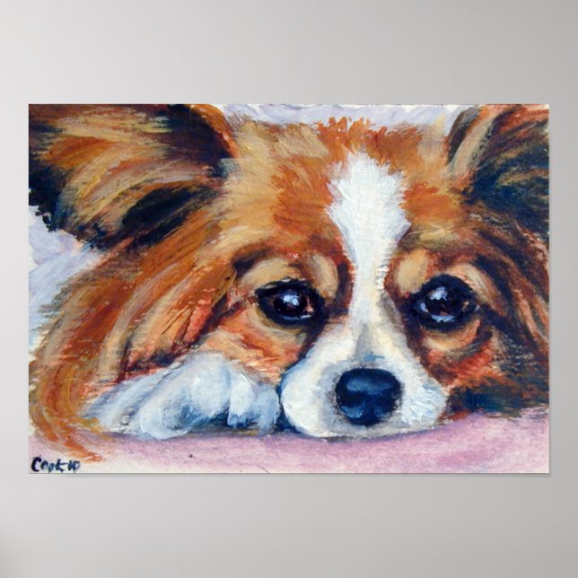 Papillon Hund Skriv ut Poster (Framsidan)