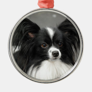 Papillon hundprydnad julgransprydnad metall