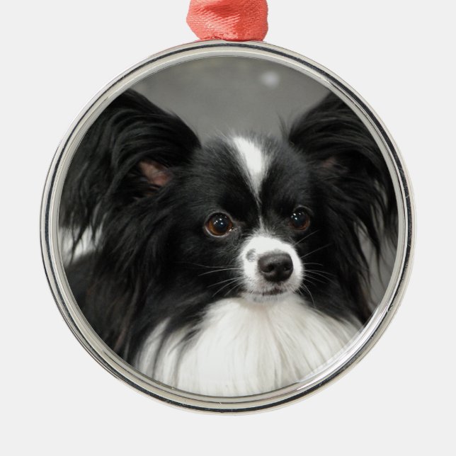 Papillon hundprydnad julgransprydnad metall (Framsidan)