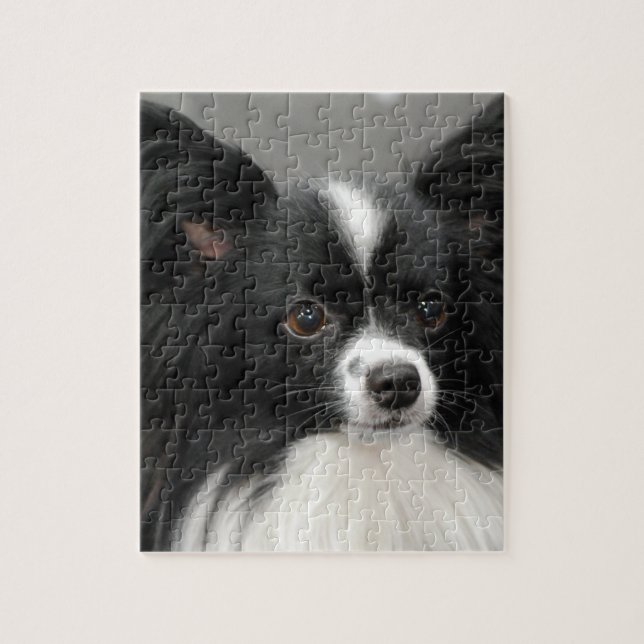 Papillon hundpussel pussel (Vertikal)