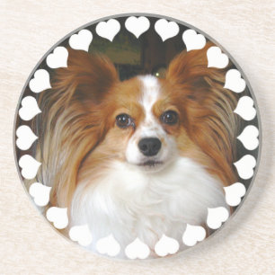 Papillon hundunderlägg underlägg