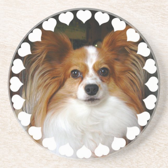 Papillon hundunderlägg underlägg (Framsidan)