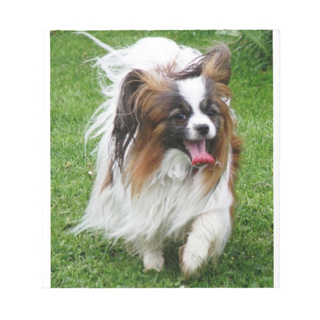 Papillon_in rörelse anteckningsblock (Framsida)