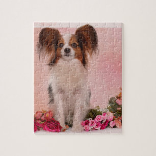 Papillon - kontinental leksakSpaniel Pussel