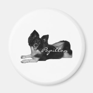 Papillon Magnet